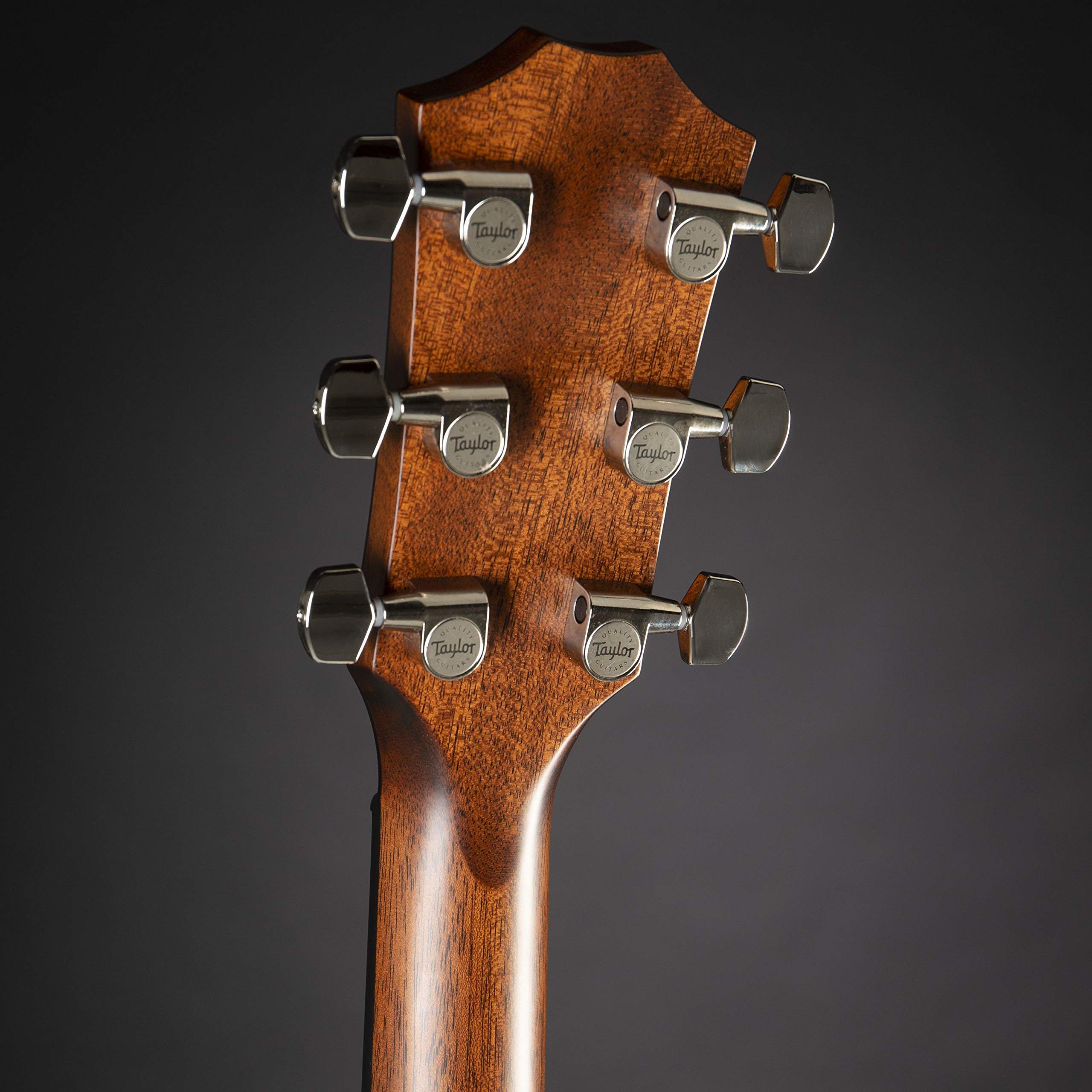 Amazon | Taylor 317e グランドパシフィック Vクラスブレーシング付き