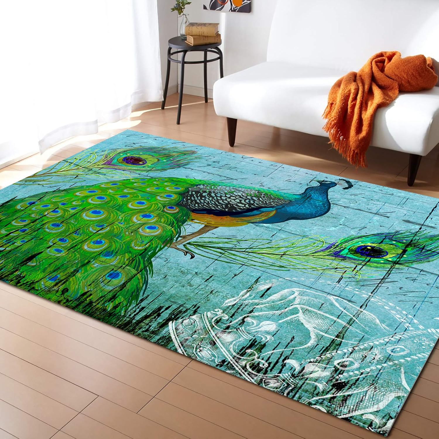 Contemporary Indoor Area Rugs, Peacock Feather Vintage Wood