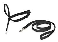 Algopix Similar Product 14 - PetSafe Easy Walk Headcollar NoPull