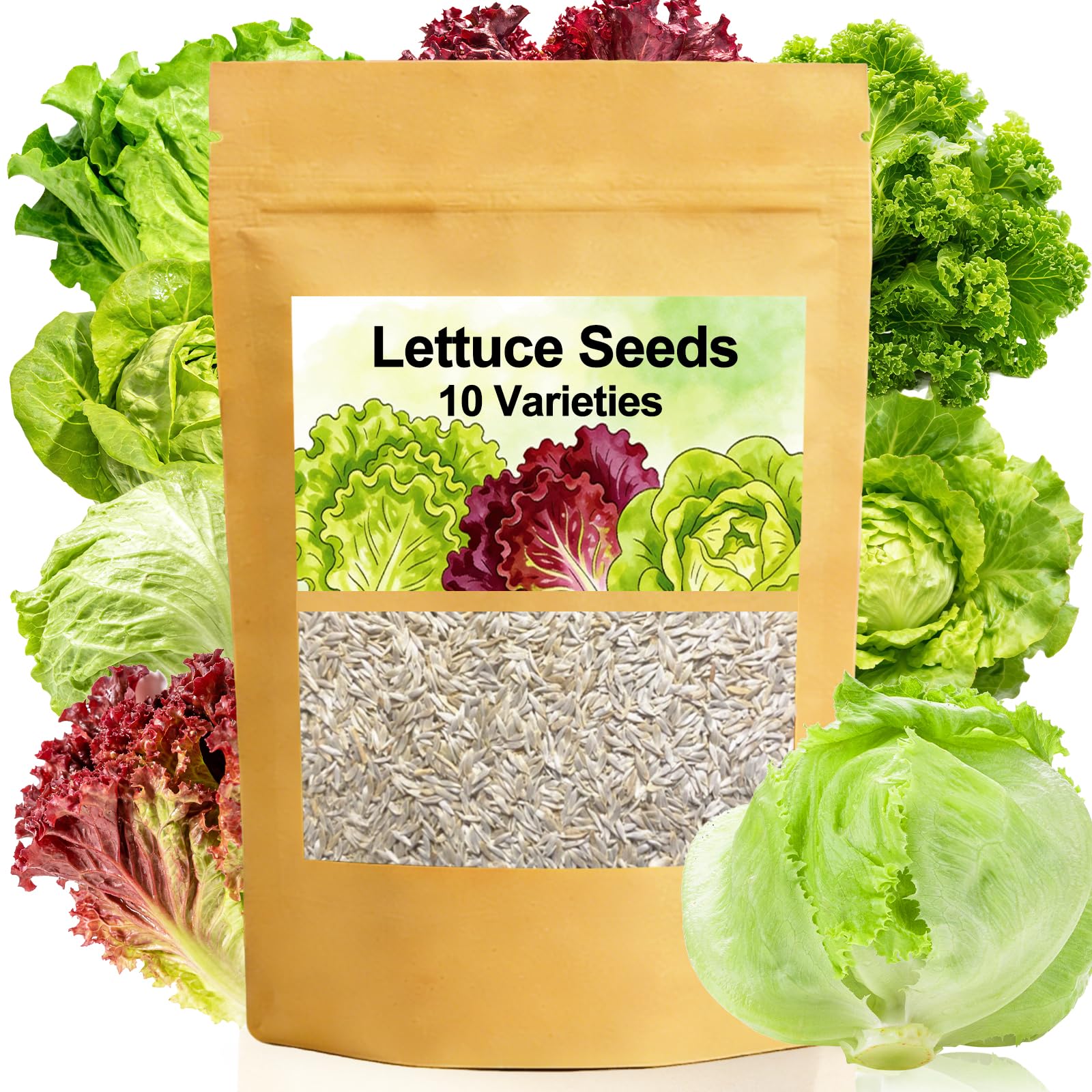 LUOJIBIE 10 Variety Lettuce Seeds Pack