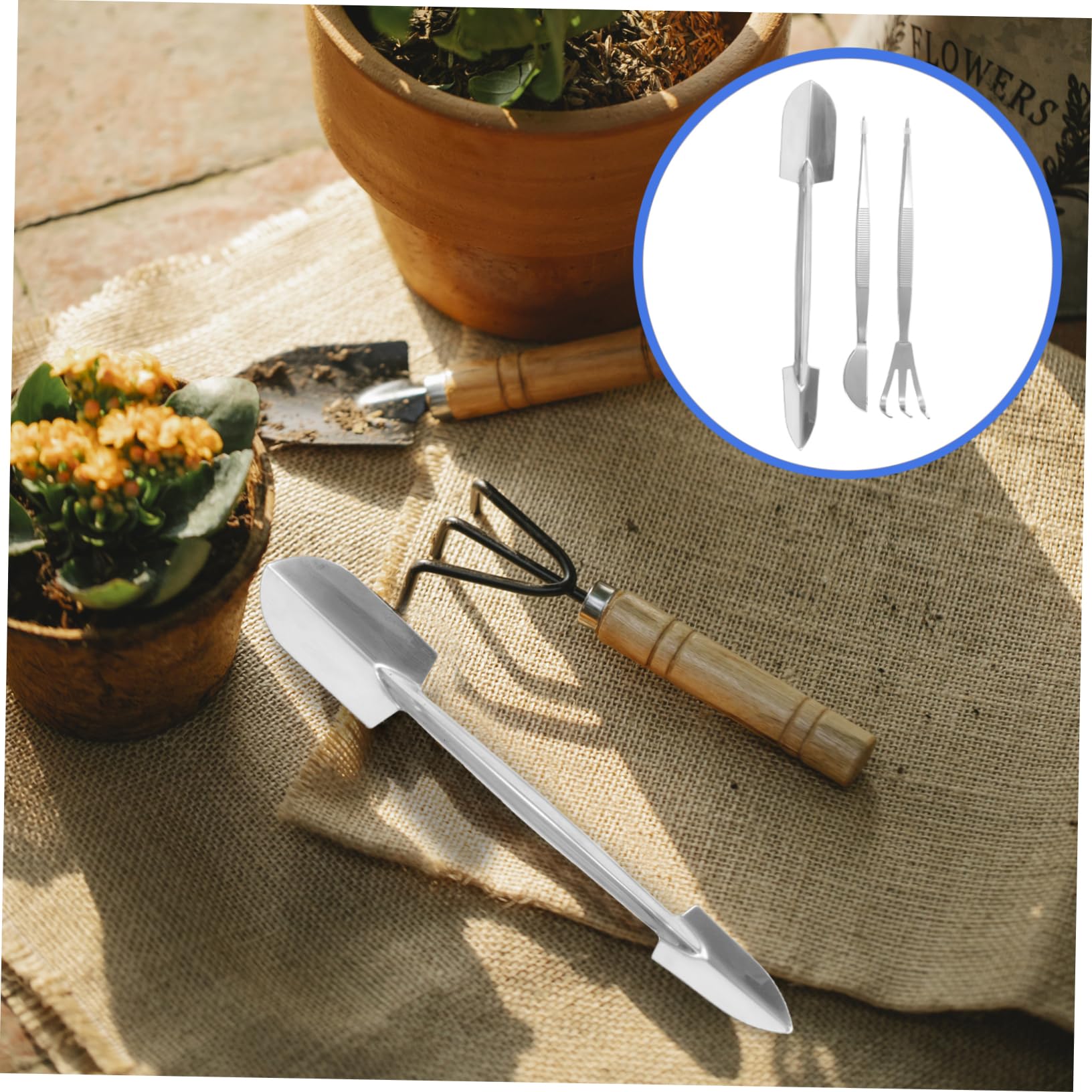 Pinzette Rastrello Bonsai Acciaio Inox Argento