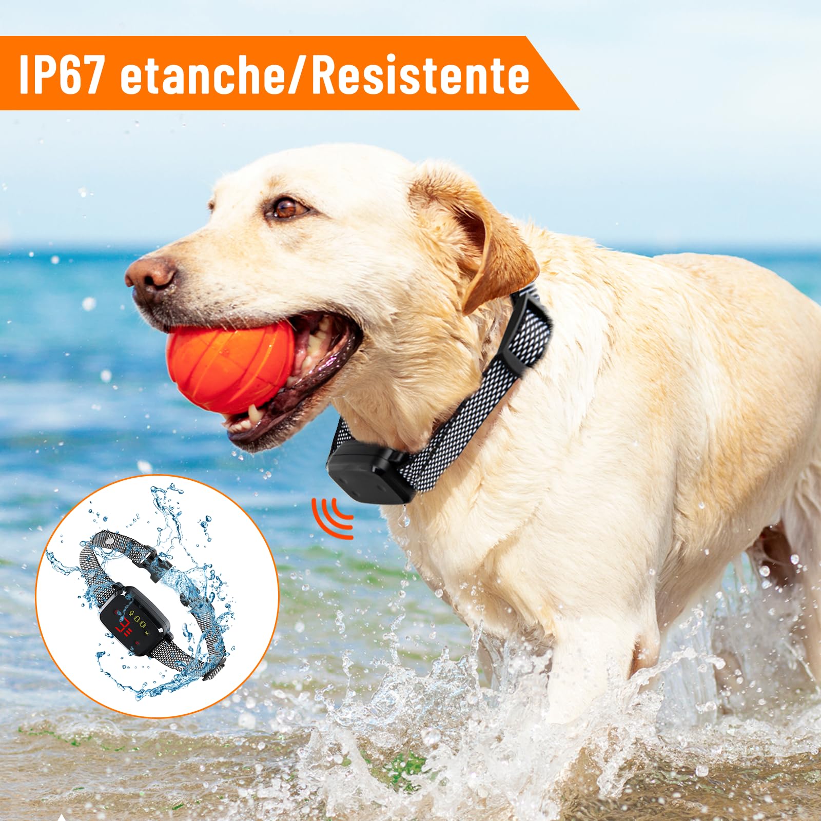 Collare Antiabbaio per Cani, Impermeabile IP67 Addestramento Intelligente Ricaricabile 8 Sensibilità suono e vibrazione Collare senza scosse adatto Cane di Piccola/Media/Grande Taglia