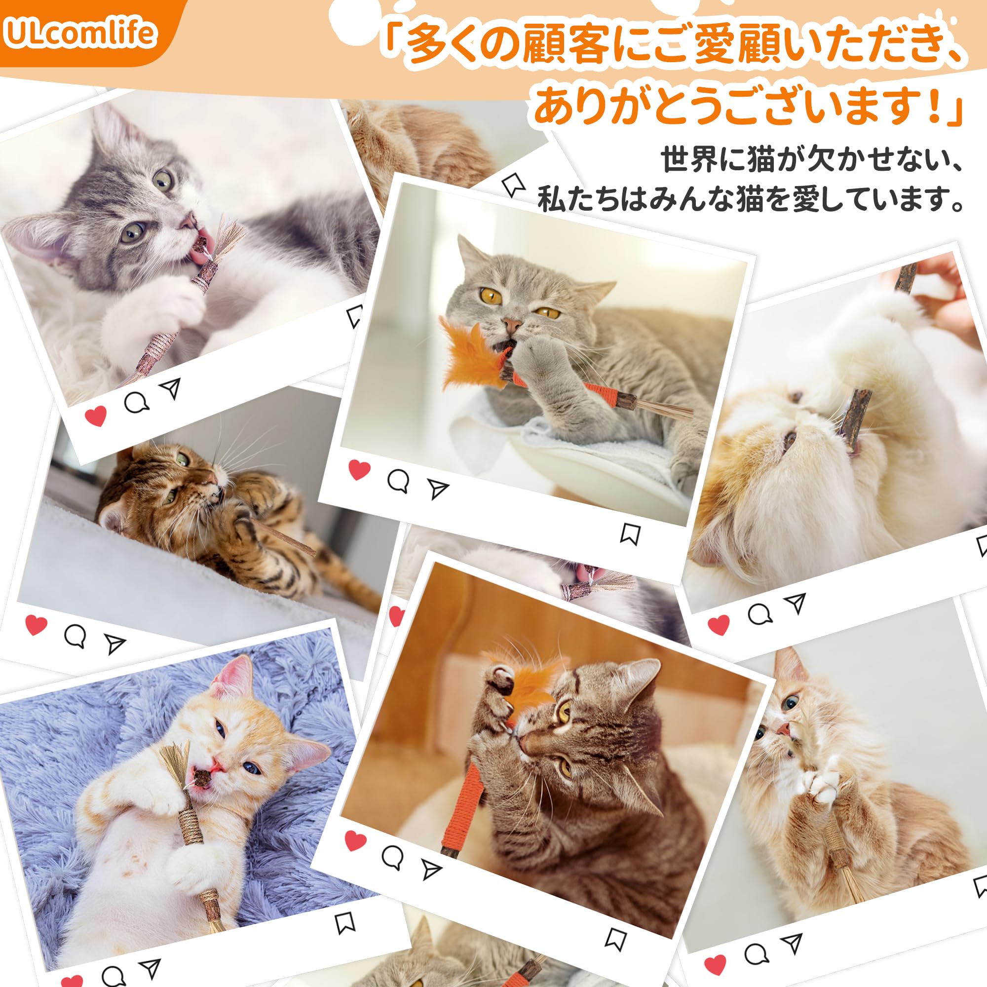 またたびガジェットセット Amazon | 【またたび豪華ギフトセット】ULcomlife 天然マタタビ 猫用