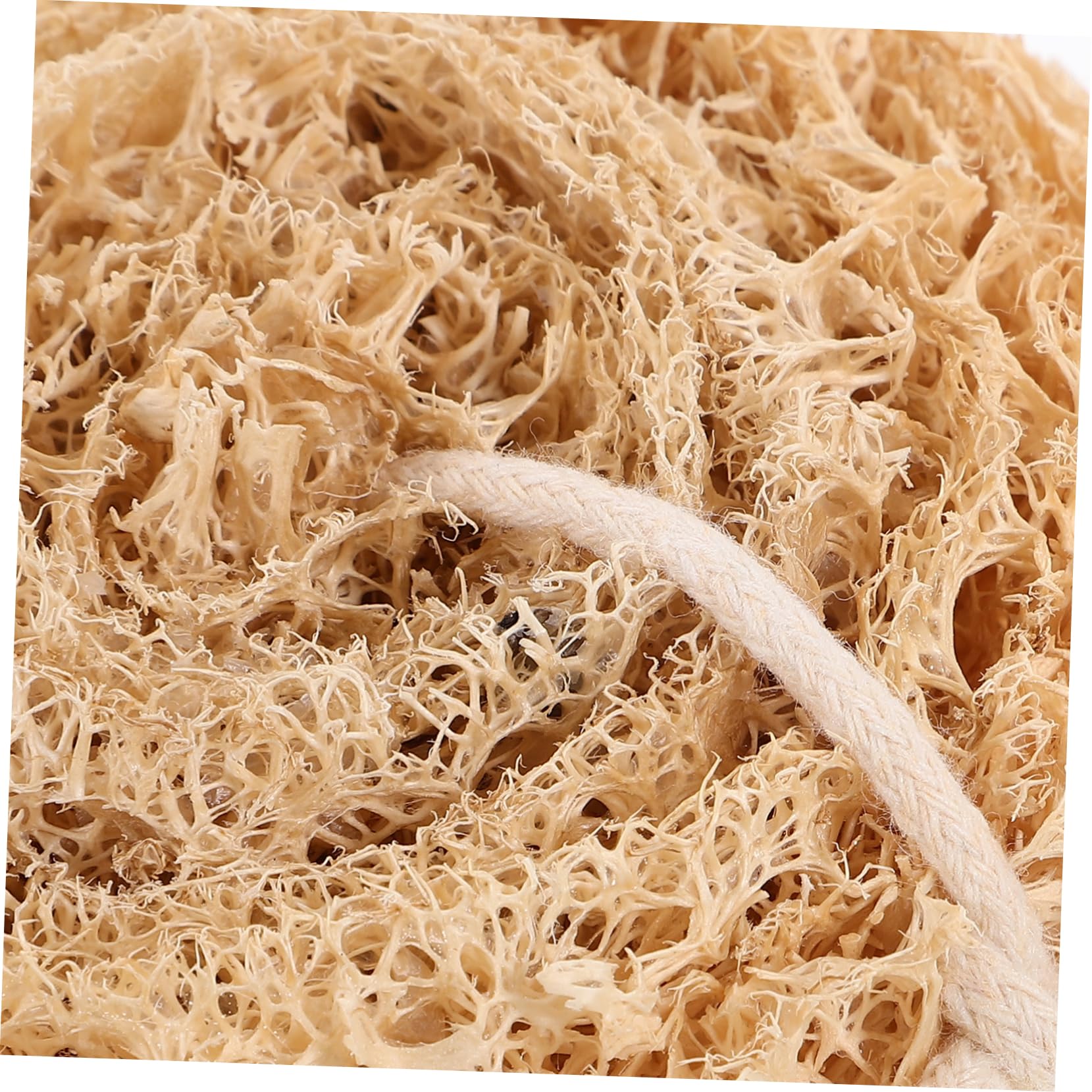 Baluue 16piezas Esponjas De Loofah Natural para Lavado De Platos para Limpieza De Cocina Eco-amigables Olores Suaves y Efectivas para Grasa y Suciedad