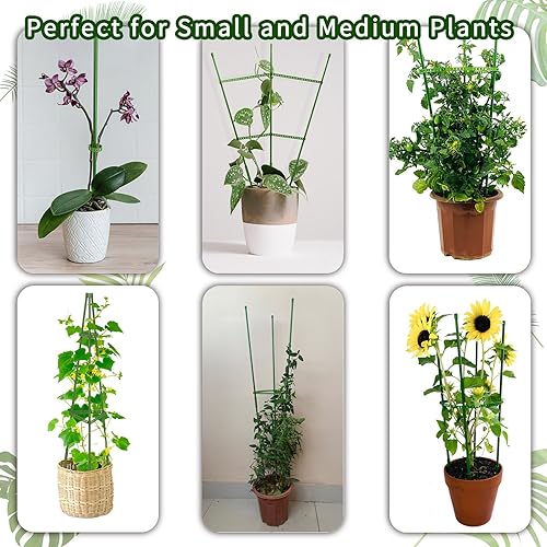 Miniatura 5 de Estacas para plantas 6 estacas ajustables de 21 pulgadas, diseñadas para plantas de interior medianas y pequeñas, estacas de jardín para un fuerte