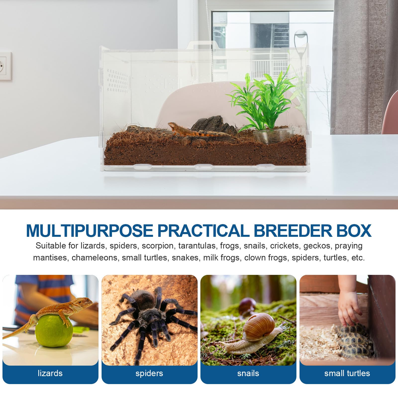 Terrario Acrilico Trasparente per Rettili e Aracnidi Ventilazione, Vasca da 25x15x15 Cm per Lucertole, Ragni, Scorpioni e Piccoli Animali Esotici