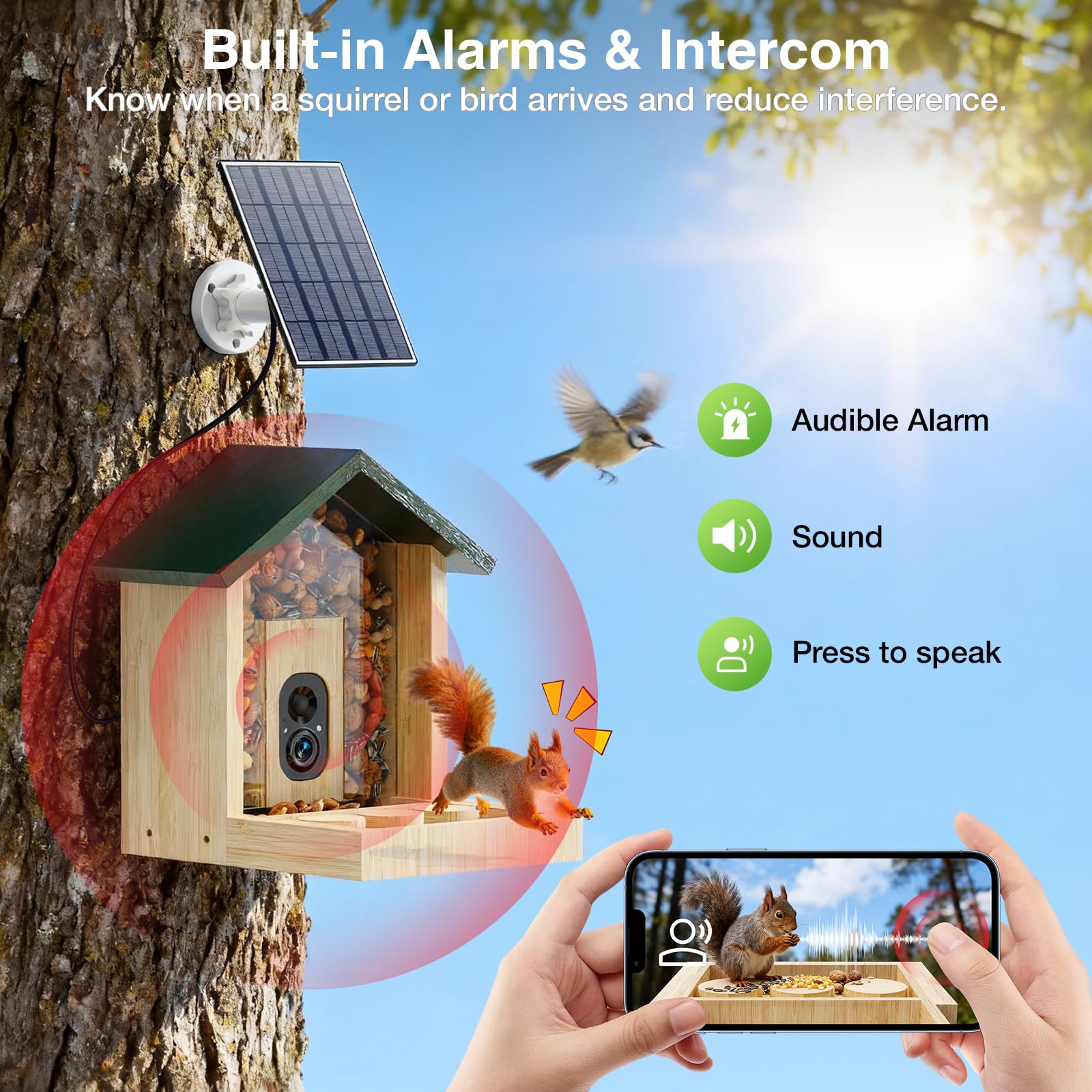 Mangiatoia per scoiattoli in legno con fotocamera, ad energia solare, video 2K HD+ | Cloud Storage, grande capacità, ideale per gli amanti degli scoiattoli