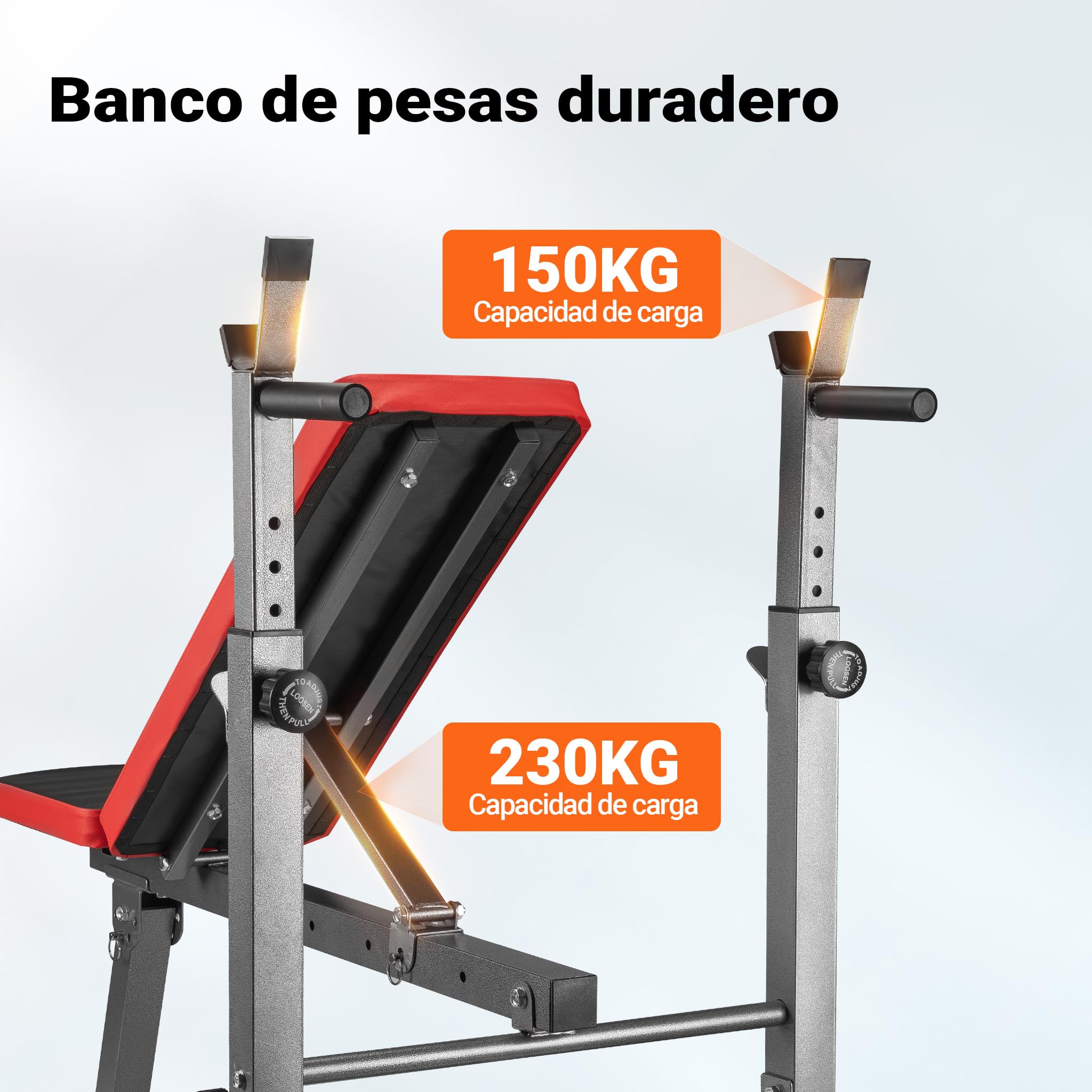 Wiltec banco de ejercicios