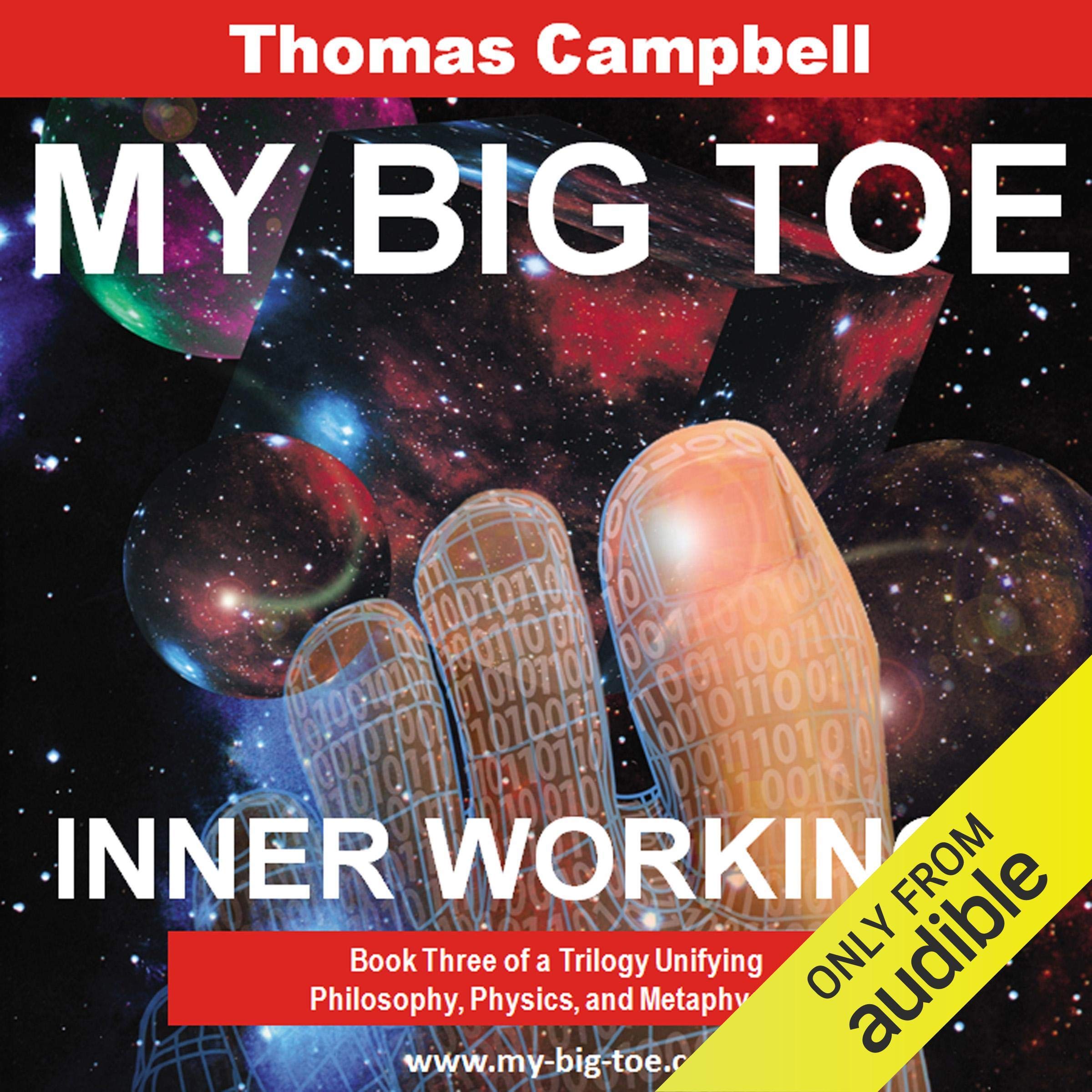 My Big TOE: Inner Workings
