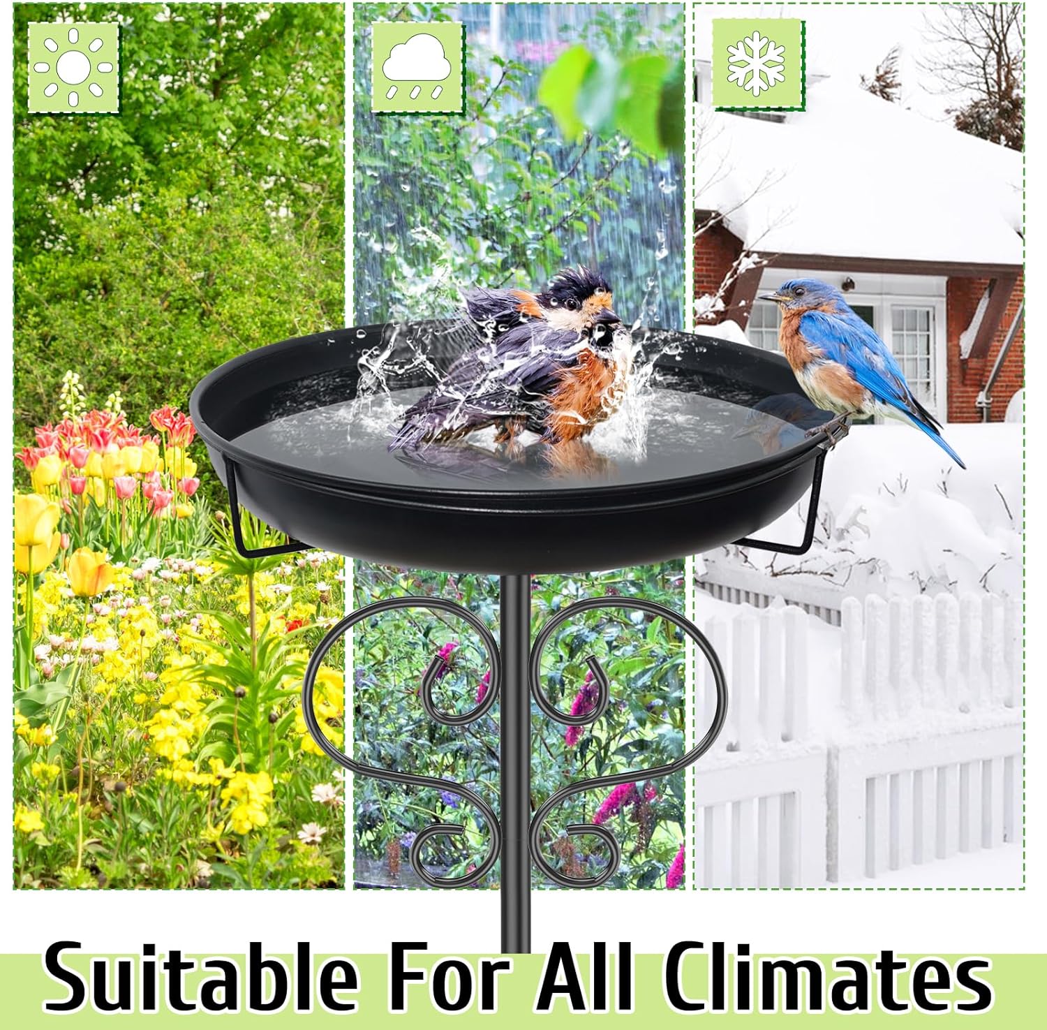 https://m.media-amazon.com/images/I/81MZebVSy8L._AC_SL1500_.jpg