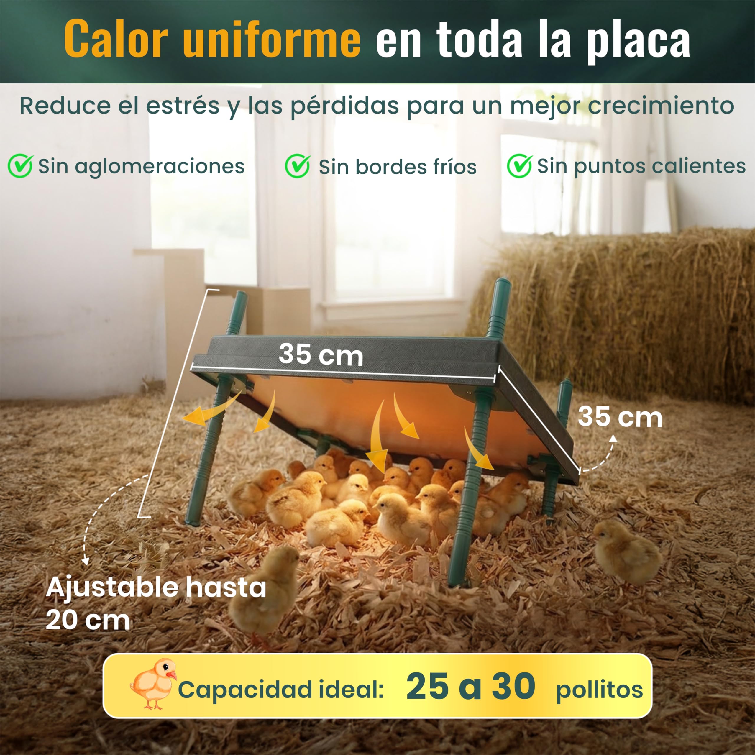Dural’s® Placa Calefactora Pollitos (-80% de Energía) con Cubierta - Panel de Cría 30W (25-30 Pollitos) - Altura Ajustable - Calor Suave Anti-Estrés (Cuadrada: 35x35 cm (capacidad 25-30 pollitos))