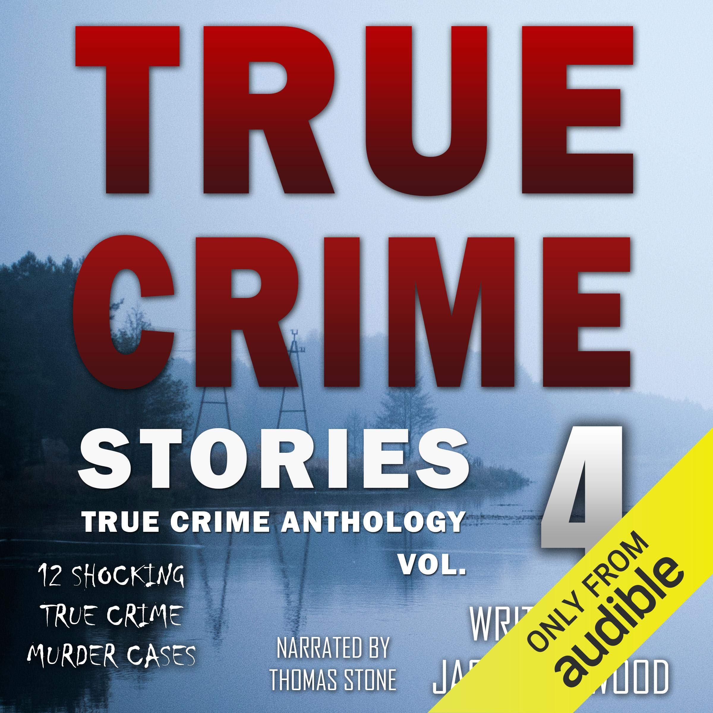 Cover art for True Crime Stories Volume 4