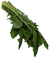 Algopix Similar Product 11 - Organic Dandelion Greens, 1 Bunch
