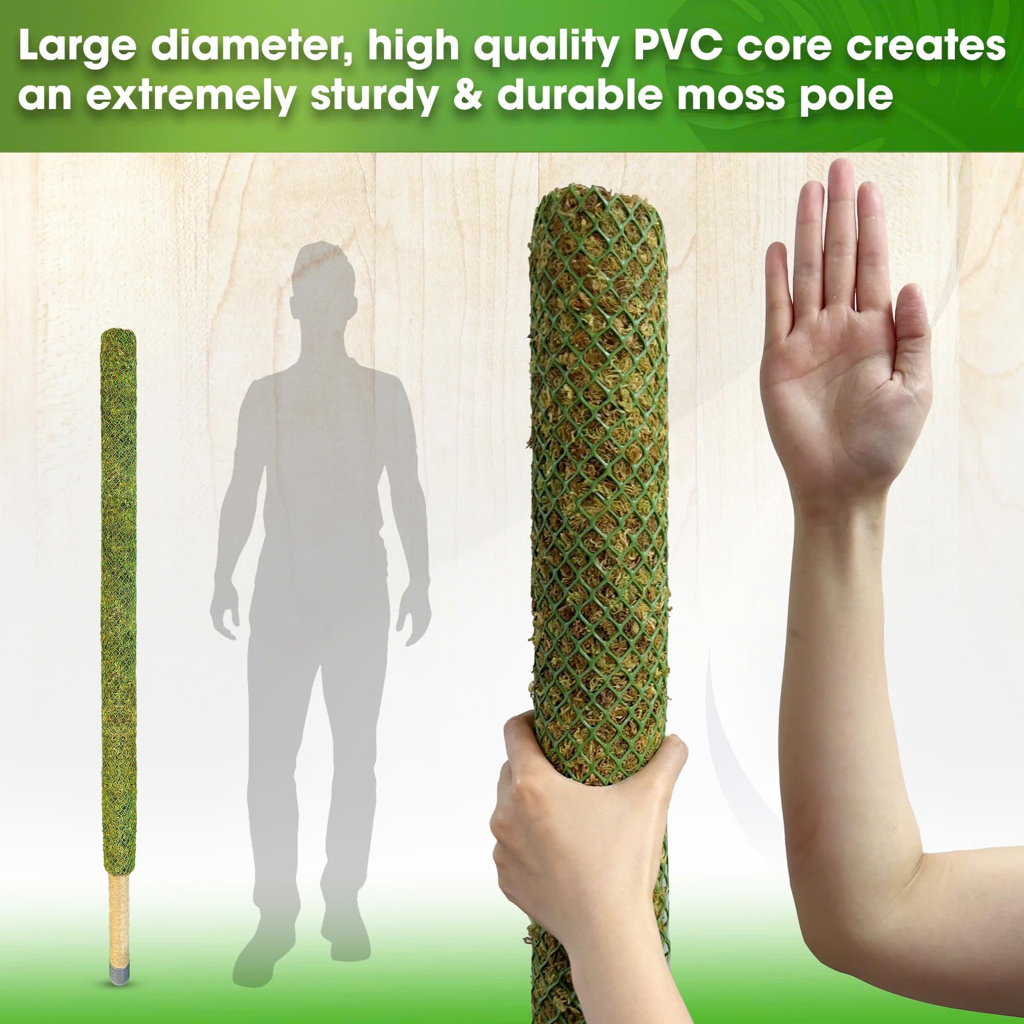 Amazon.com : DUSPRO 59'' Large Green Mesh Moss Pole Monstera Plant