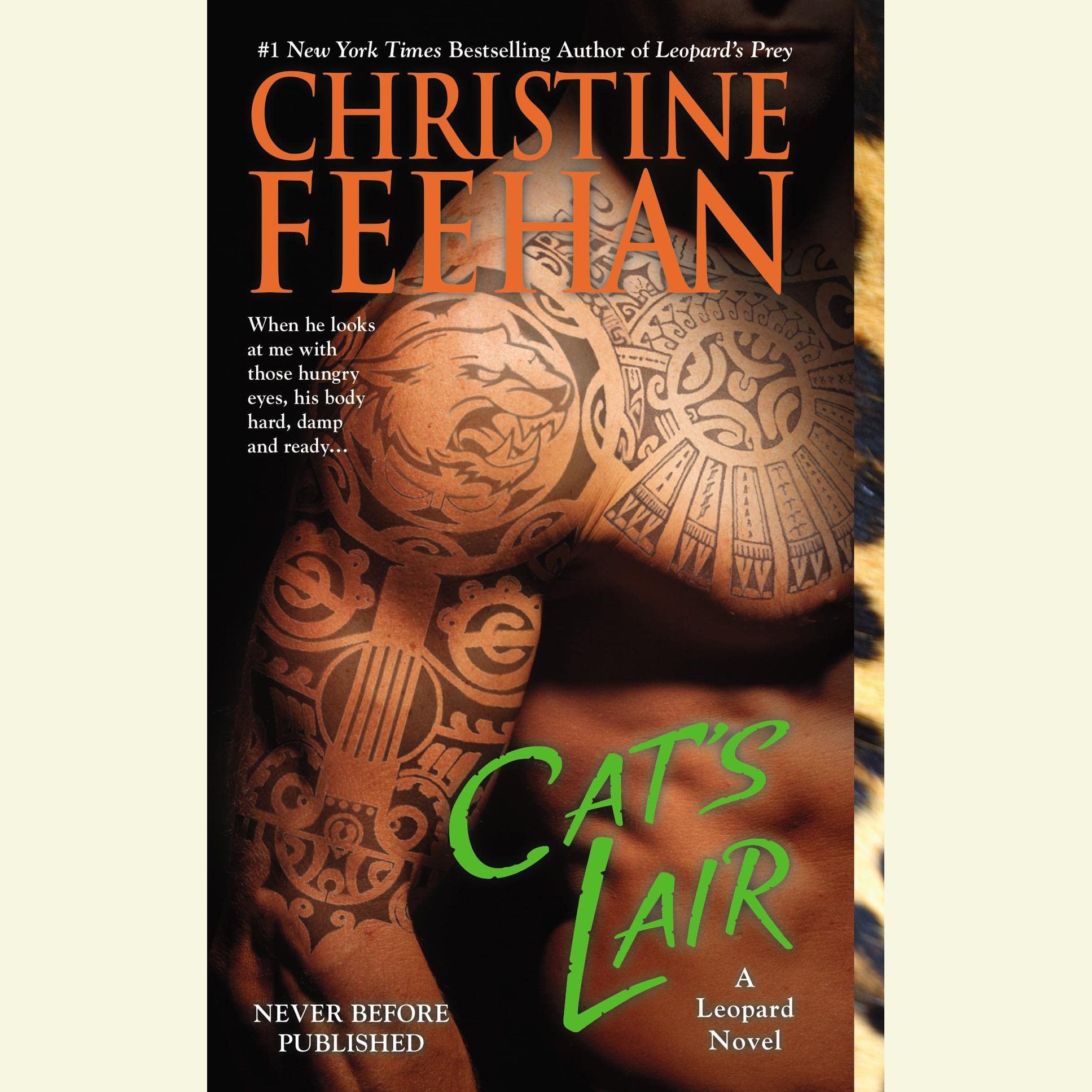 Cover art for Cat's Lair
