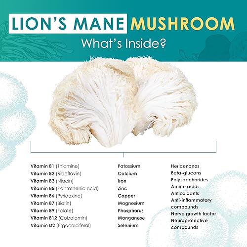 Miniatura 4 de Polvo de extracto de hongo melena de león