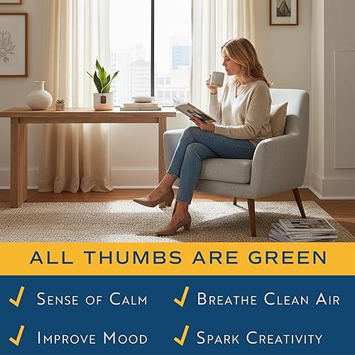 Miniatura 6 de Costa Farms - Planta de la serpiente o lengua de suegra de interior viva, planta sansevieria en maceta para decoración del hogar, maceta blanca