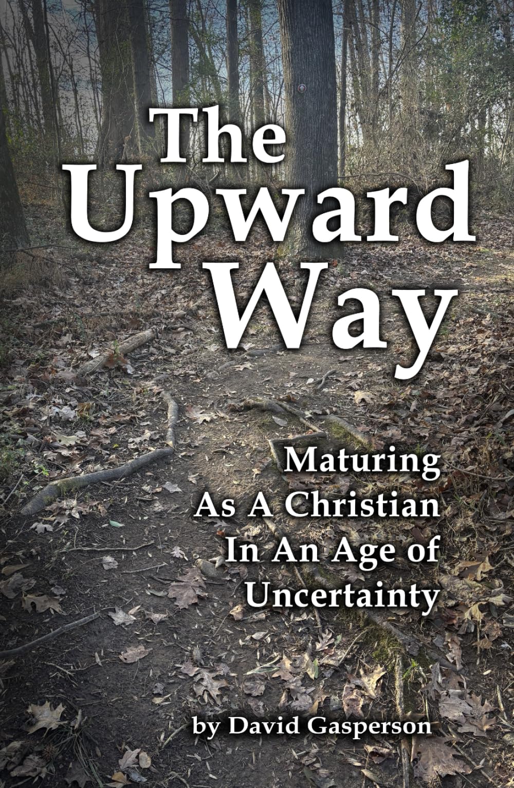 The Upward Way: Maturing As A Christian In An Age of Uncertainty