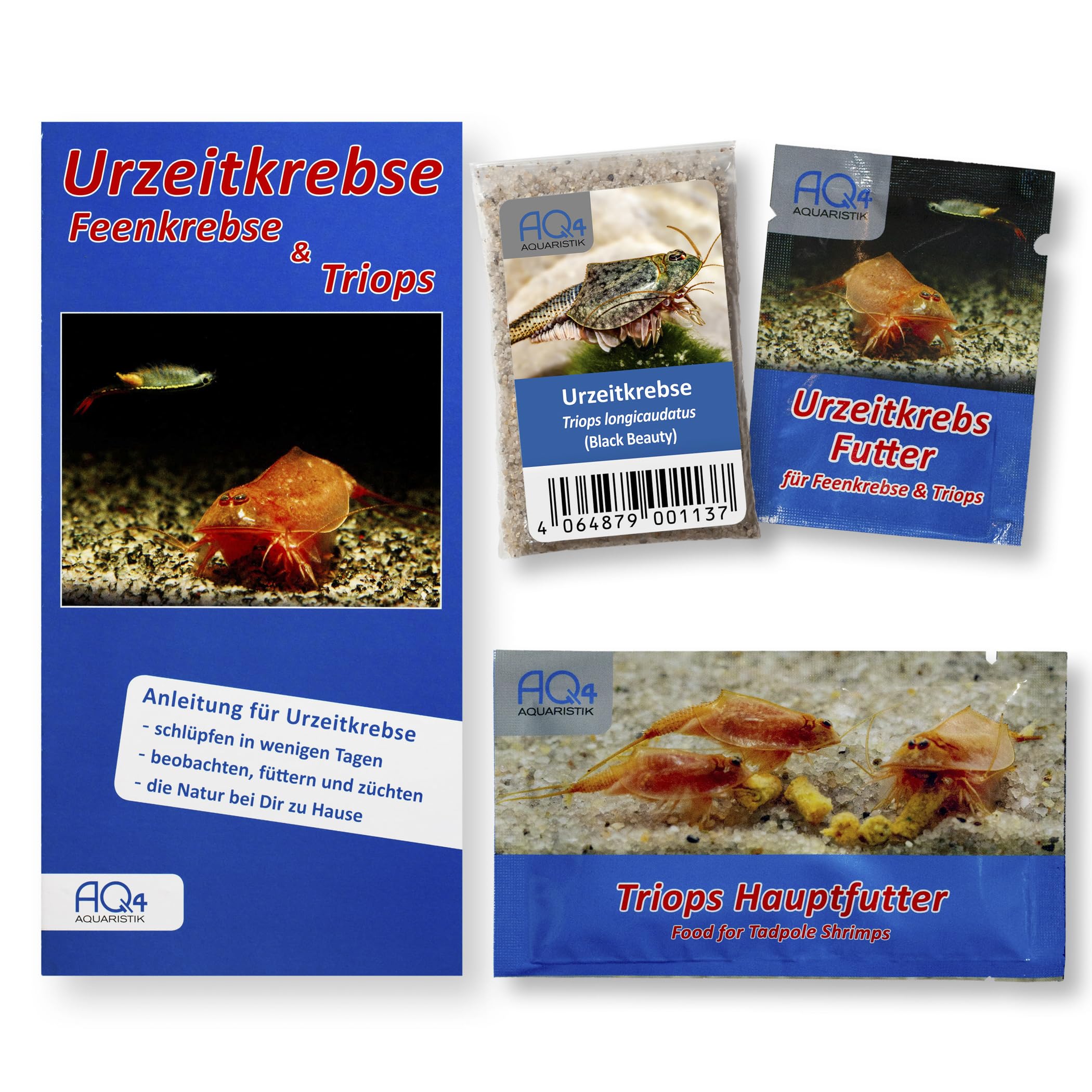 Triops longicaudatus (Black Beauty) - Starter Set Urzeitkrebs Eier - mit Futter und Anleitung