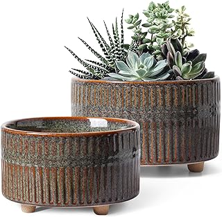 LE TAUCI Succulent Pots, 6.5+8 Inch Ceramic Pots for Plants Indoor, Shal...