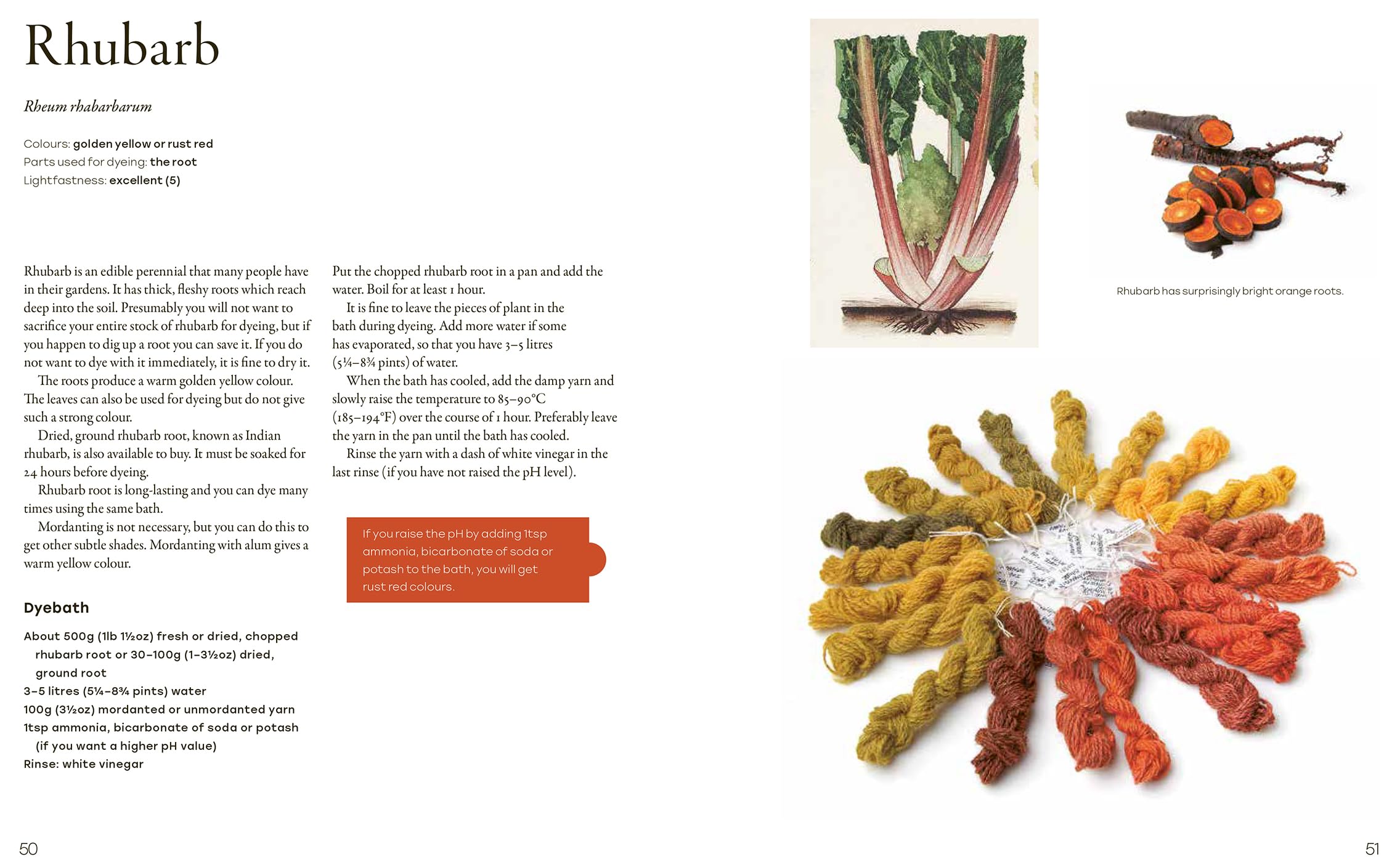 Natural Yarn Dyes: 25 Vibrant & Sustainable Recipes