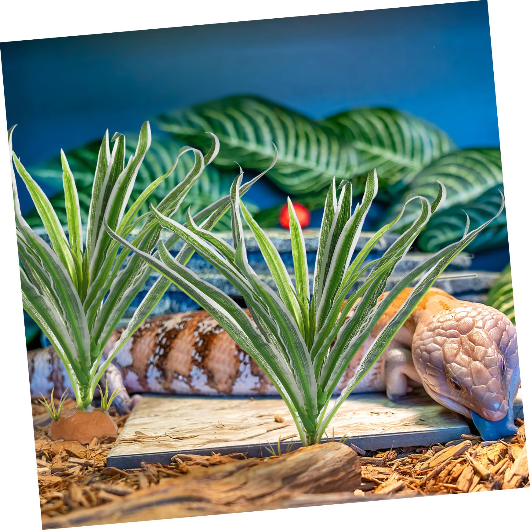DOITOOL 6piezas Artificiales para Terrario De Reptiles Decoración Natural para Hábitats De Anfibios y De De Lifelike
