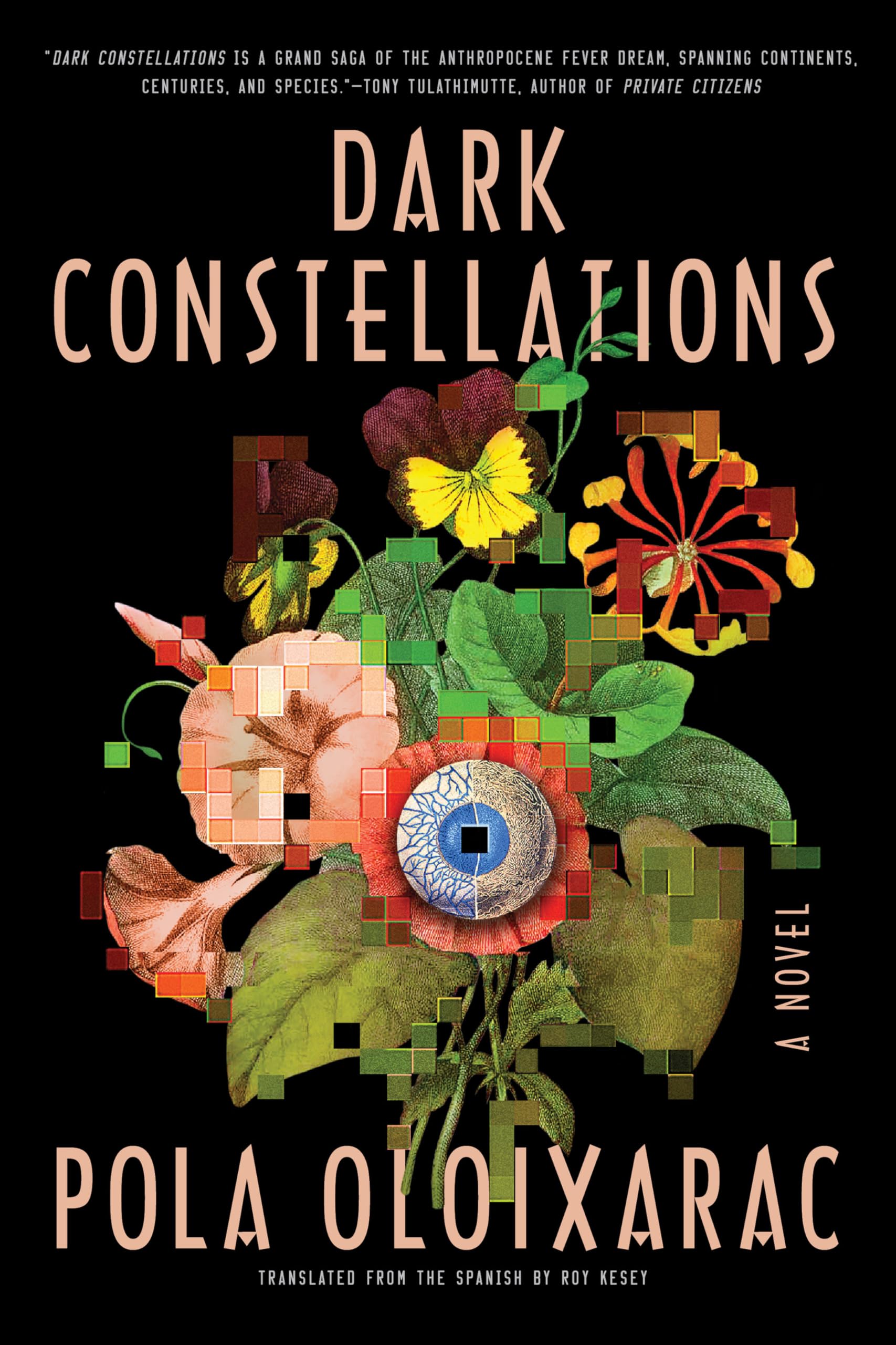Buy Dark Constellations — BookShops.in