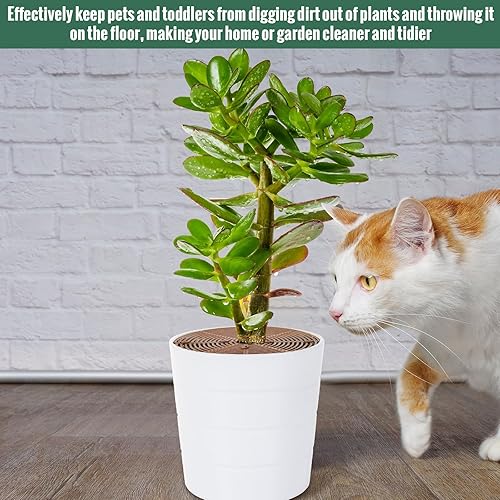 Miniatura 5 de 12 piezas de rejilla de primavera de 11.8 pulgadas con recorte central, cubierta de plástico para macetas con 8 estacas protectoras para plantas,