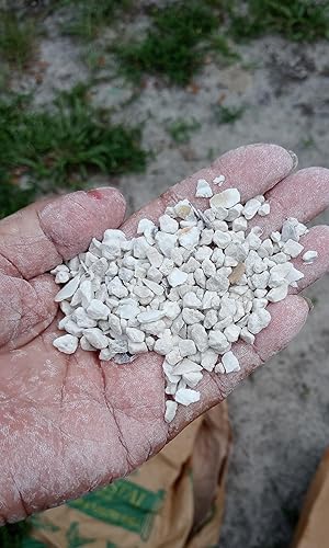 Miniatura 4 de Bolsa de 50 libras de concha de ostras, grano de ave rico en calcio (50 libras (paquete de 1))