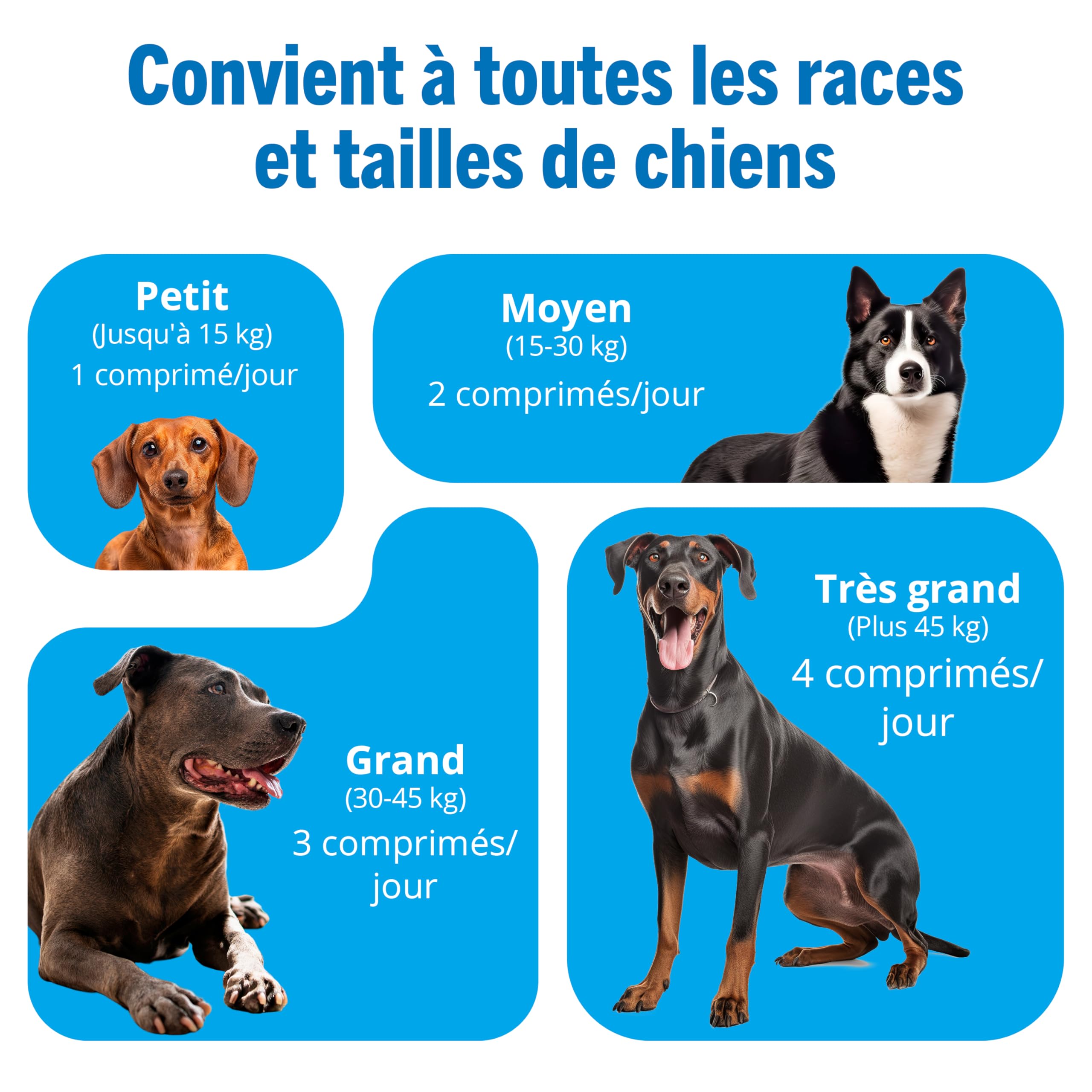 JOINTSURE Senior – Comprimés Premium de Soin articulaire avancé pour Chiens | 120 comprimés avec glucosamine et Moule Verte pour la mobilité et la solidité des articulations