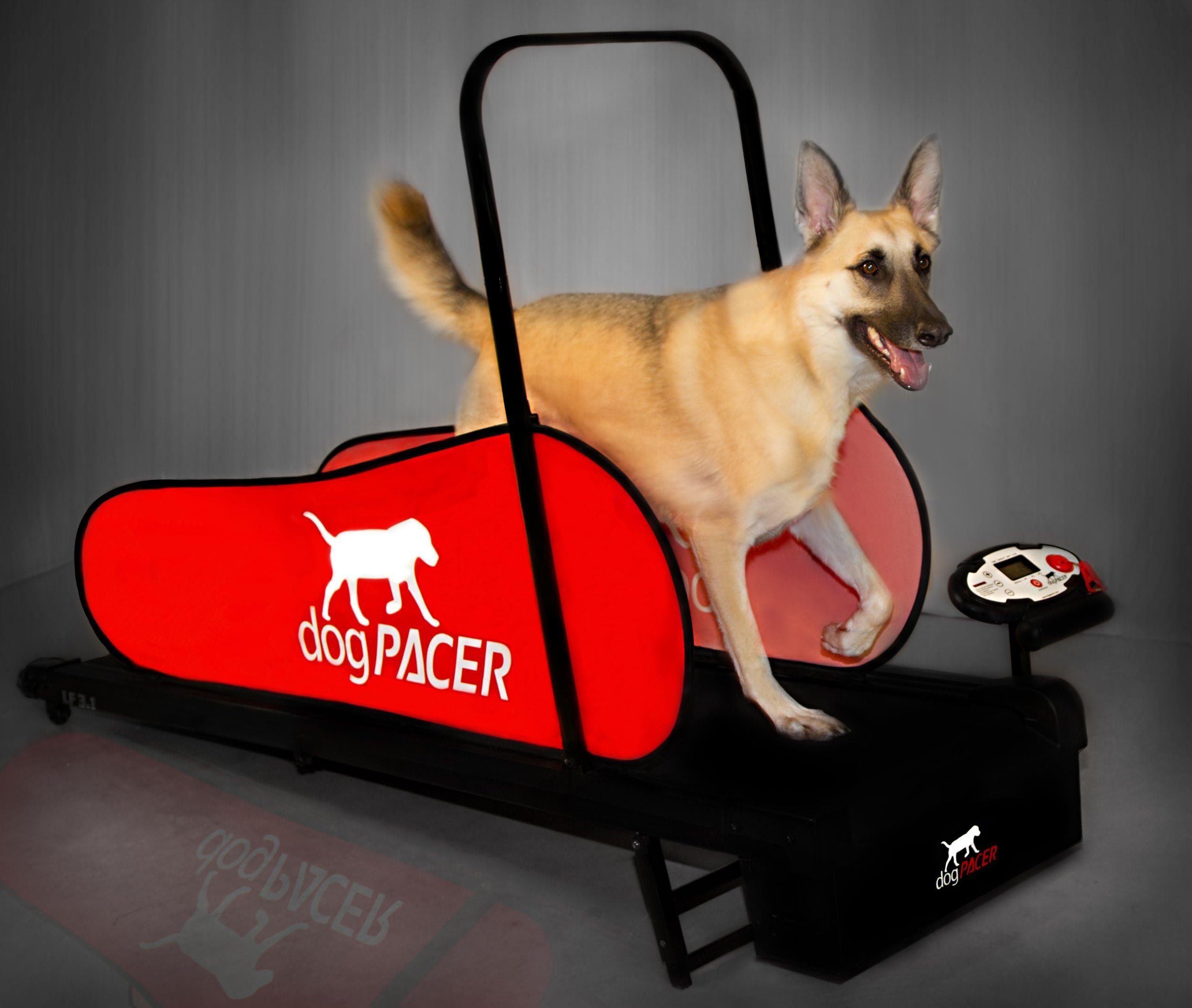 dogPACER 91641 LF 3.1 Full Size Dog Pacer Treadmill, Black