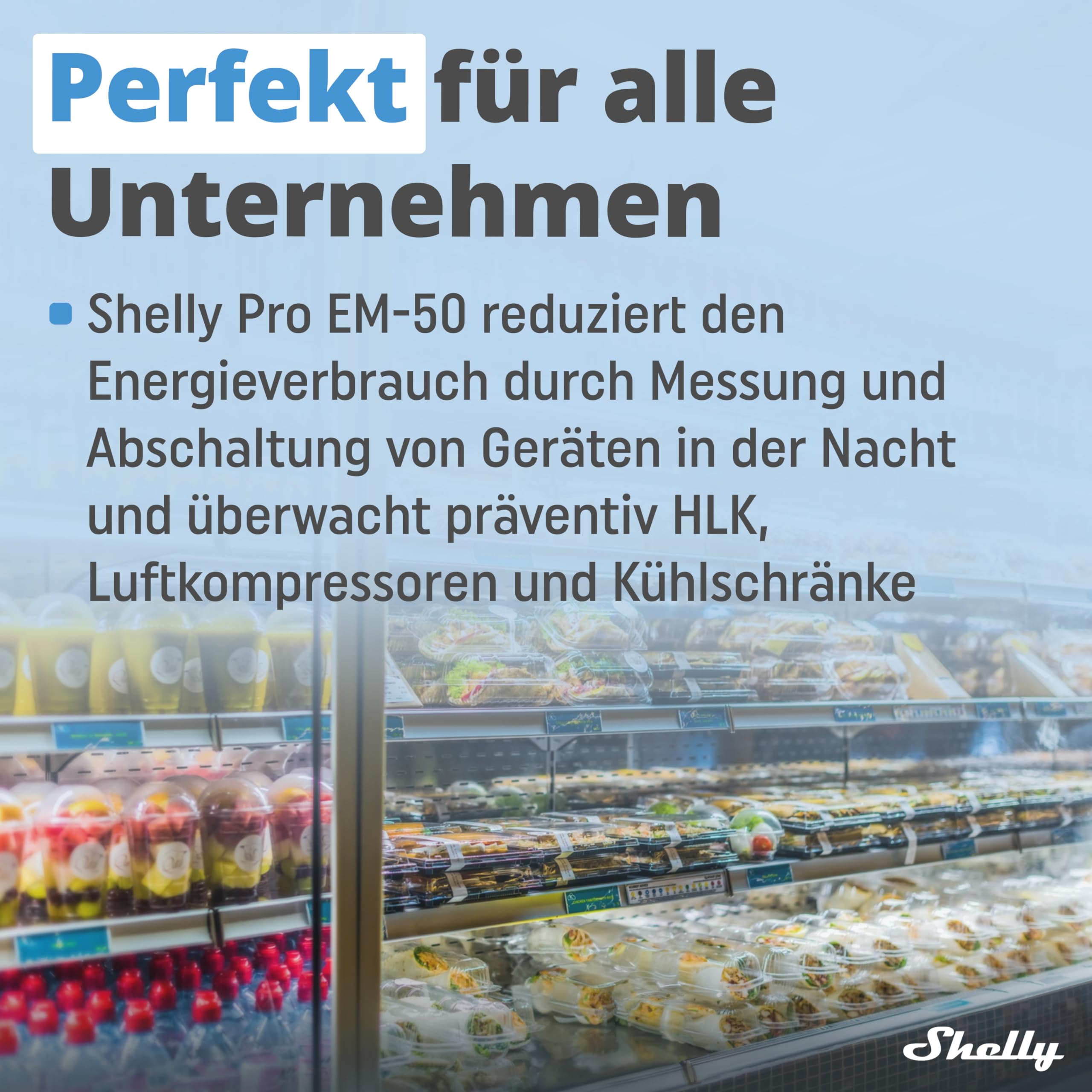 Shelly Pro EM 50A - WLAN & LAN Smart Energiezähler, 2 Kanäle auf 1 Phase, 2A Potentialfreie Kontakte, 4-Quadranten-Messung, Photovoltaik, IEC 62053-21, Kein Hub Erforderlich, Datenspeicherung
