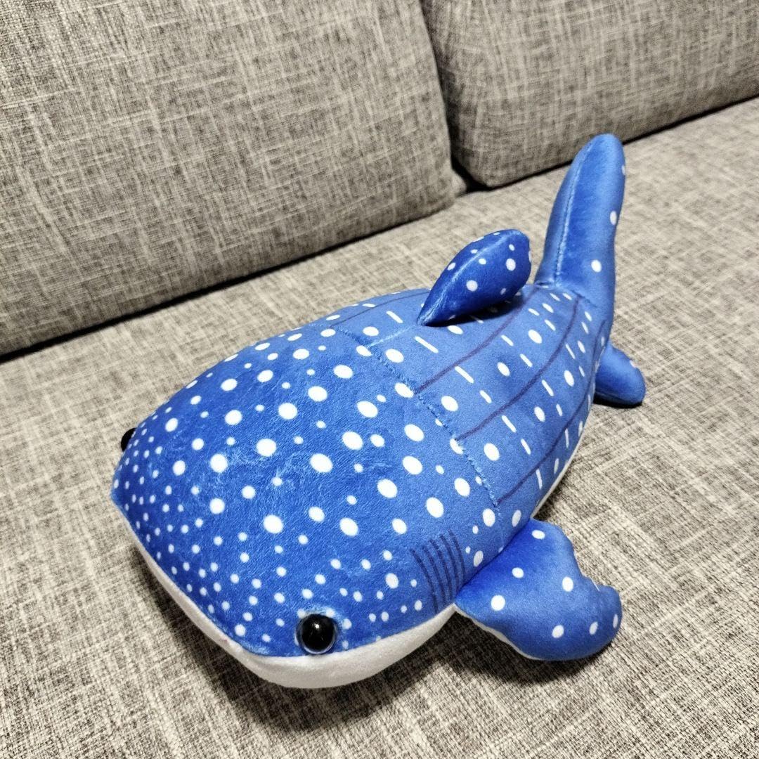 Amazon.co.jp: 沖縄 美ら海水族館 ジンベイザメぬいぐるみ