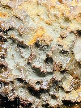 Amazon.co.jp: 【鑑別書付き】 パラサイト隕石 374g 男女兼用