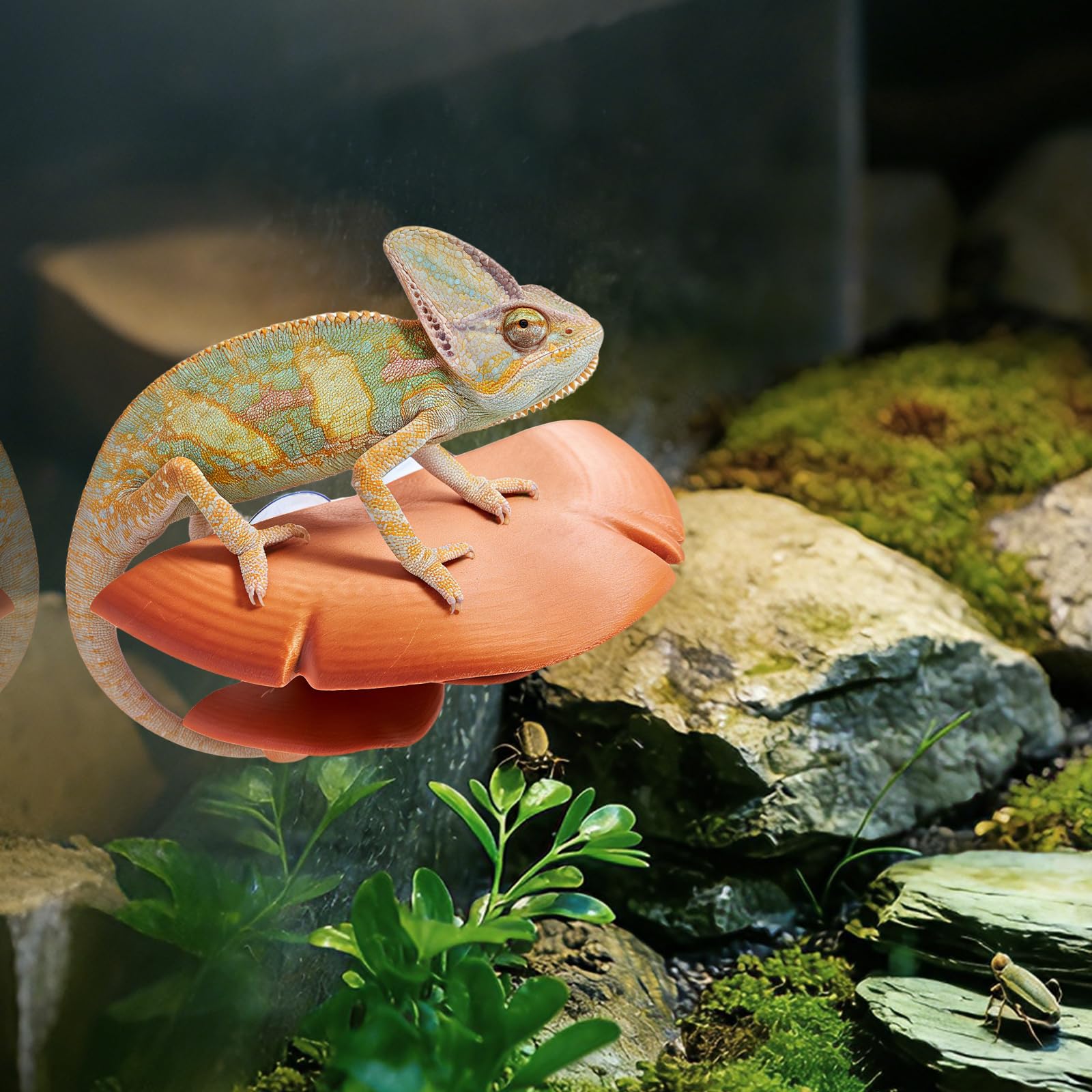 Boxili Reptile Basking Platform for Terrarium, Plastic Mushroom Habitat Ornament with Suction Cups, Bearded Dragons Tank Accessories for Crested Gecko, Lizards, Tree Frogs (Brown)