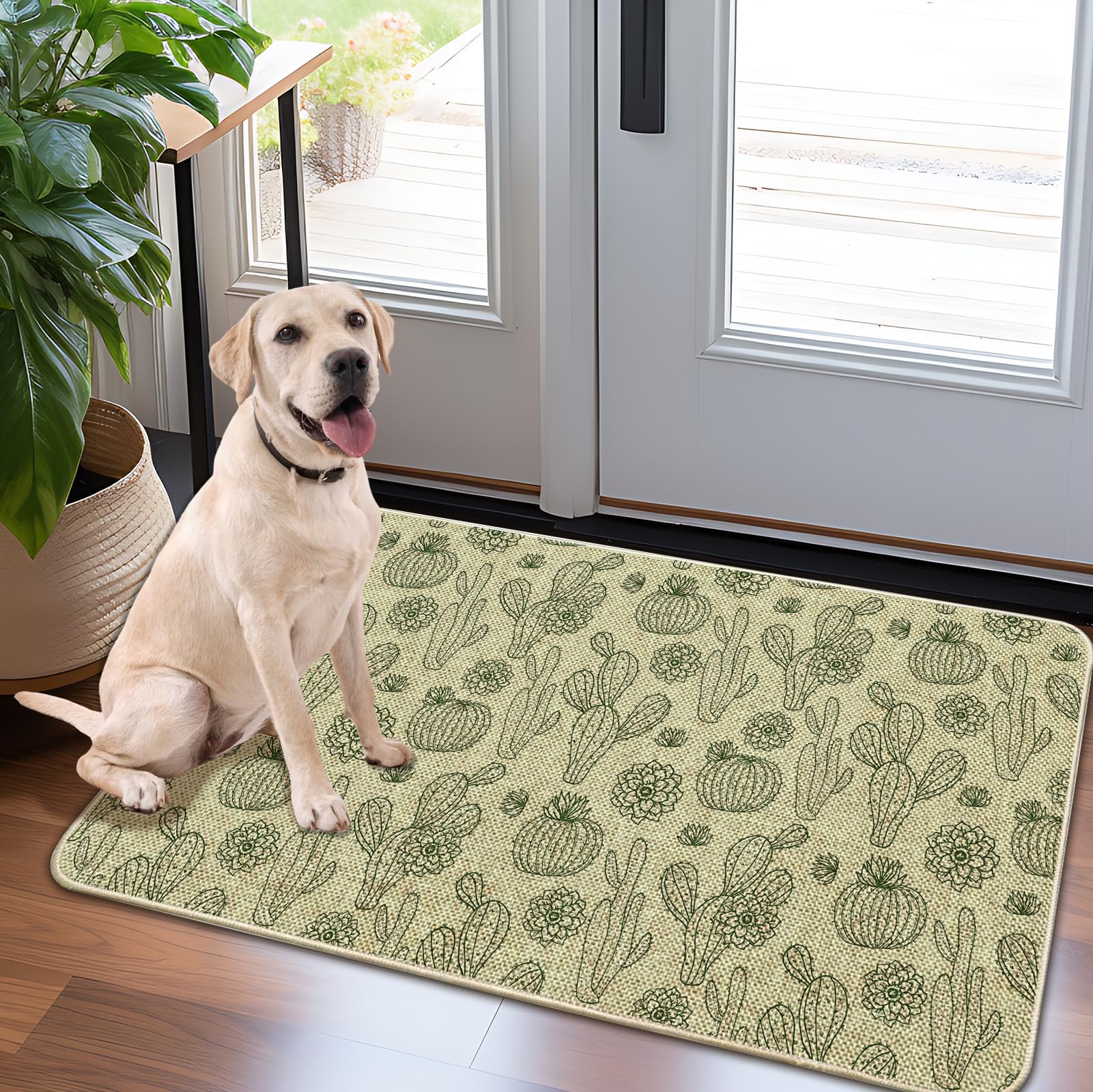 Door Mat-Non-Slip Rubber Back Welcome Mat for Front Door,Indoor Outdoor Entryway,Durable & Absorbent Low Profile Doormat for Home Entrance,Cactus