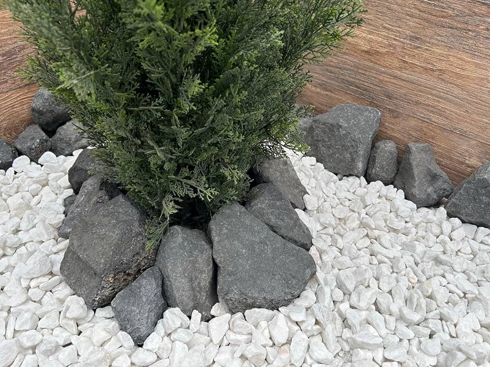 Amazon.co.jp: 庭石 割栗石 黒 ロックガーデン 石 庭