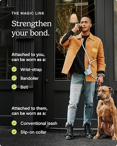 Miniatura 2 de FABLE Magic Link - Correa para perro, collar y correa todo en uno, manos libres, para pasear al perro, úsalo como cinturón, cruzado o correa de