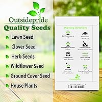 Vista 5 de Outsidepride Agastache Mexicana - Semilla de planta de hisopo gigante para jardín, 1000 semillas