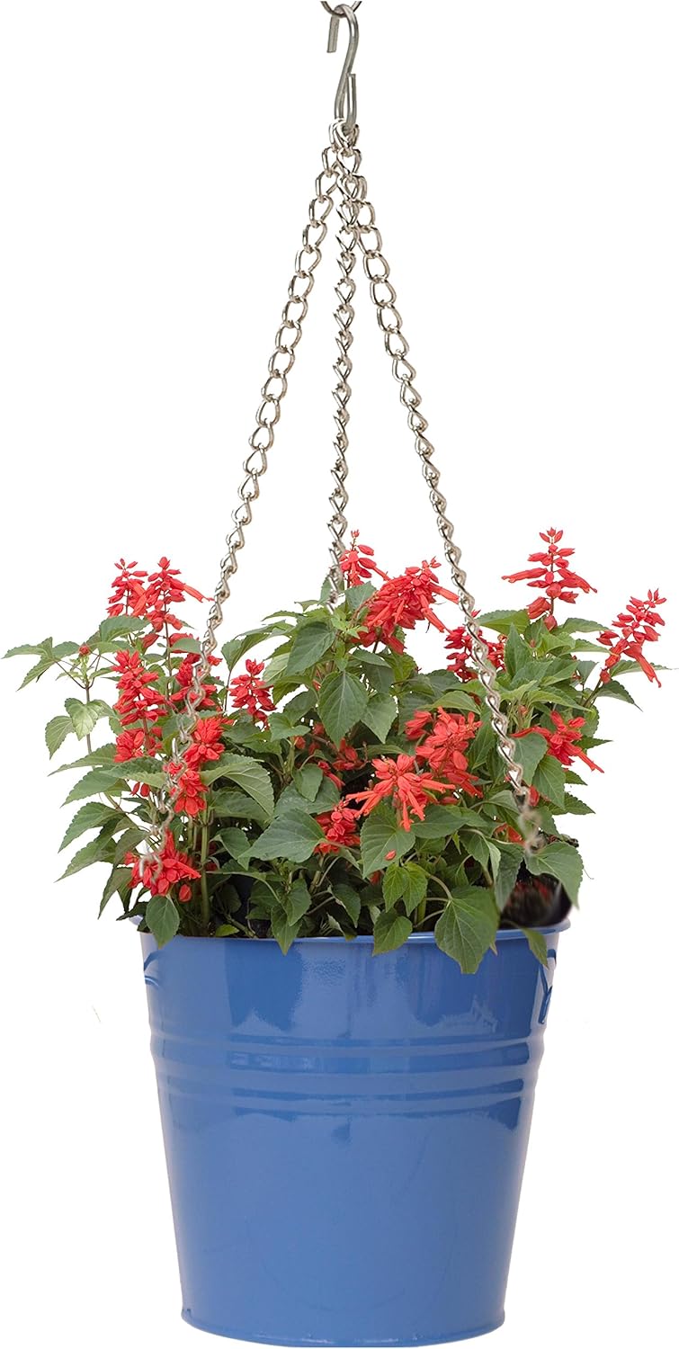 Houston International 6151E B 9-Inch Steel Hanging Planter, Blue