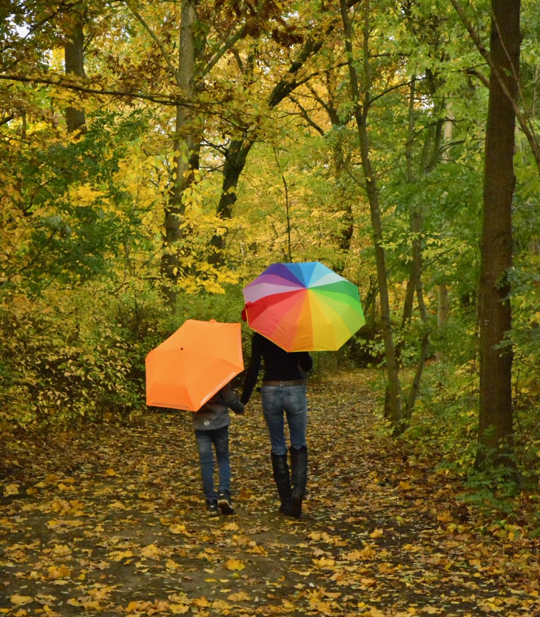 iX-brella Mini Ultra Light - Damen Taschenschirm mit großem Dach - extra leicht