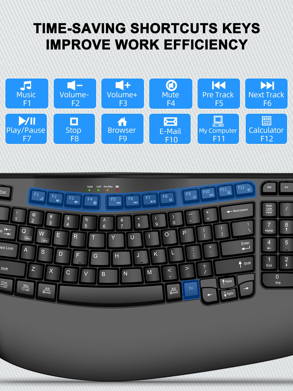 EDJO Teclado inalámbrico ergonómico con reposamuñecas, teclas onduladas, escritura natural cómoda, teclado inalámbrico Ergo de 2.4 GHz para computadora, Windows, Mac OS, portátil, PC (negro)