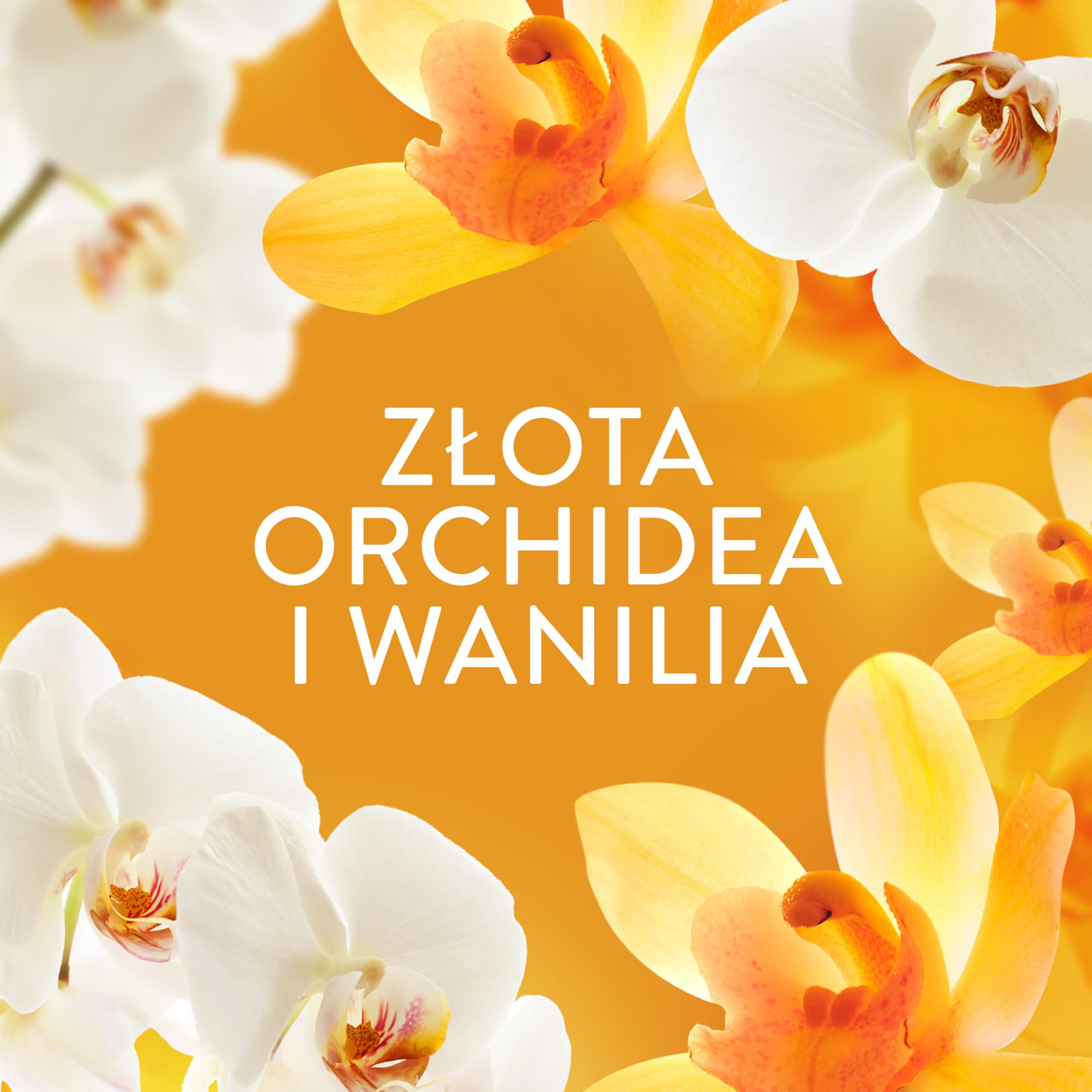 Lenor Perfumowane perełki zapachowe do prania 6x495g, Gold Orchid & Vanilla