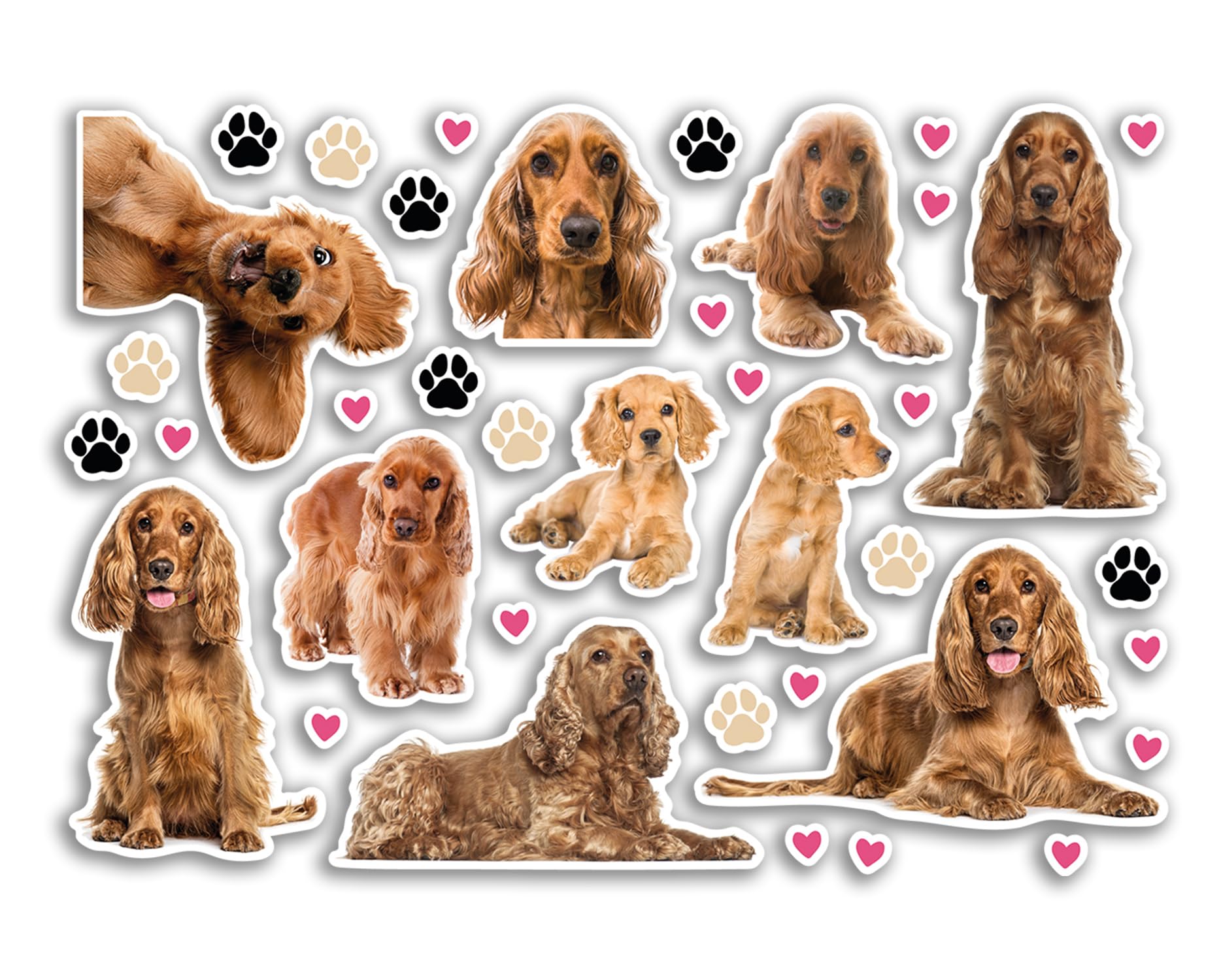 Foglio di adesivi in vinile, formato A5, motivo: Cocker Spaniel, cani, cuccioli, animali, scrapbooking, decorazione da viaggio, etichetta per amici, ragazze, ragazzi, estetici, #80800
