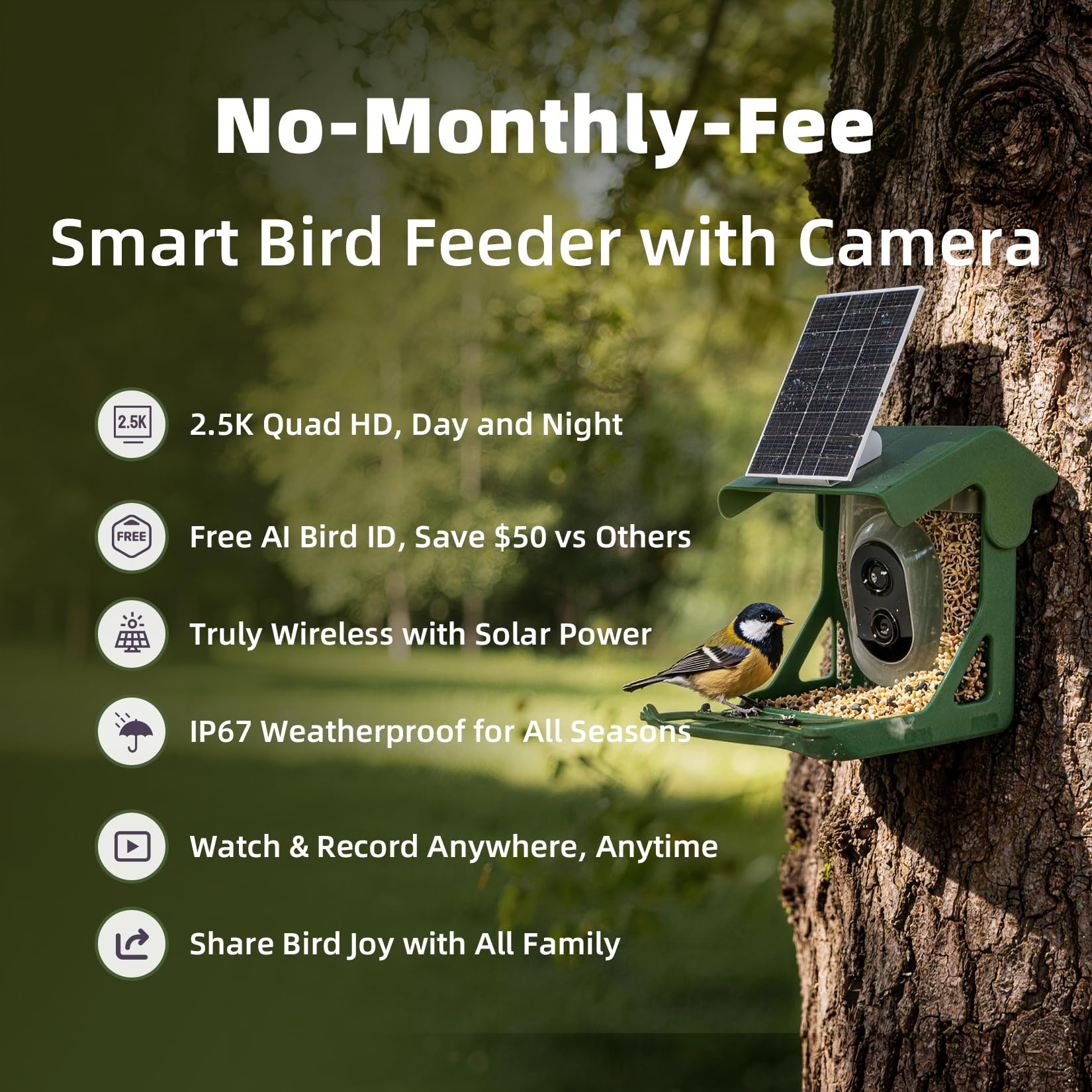 Vogelfutterstation mit Kamera, solarbetrieben, 4 MP 2,5 K Smart Outdoor Vogelhaus Cam, kostenlose KI-Vogelarten-Identifikation, Live-Ansicht & Wiedergabe, sofortige Benachrichtigungen