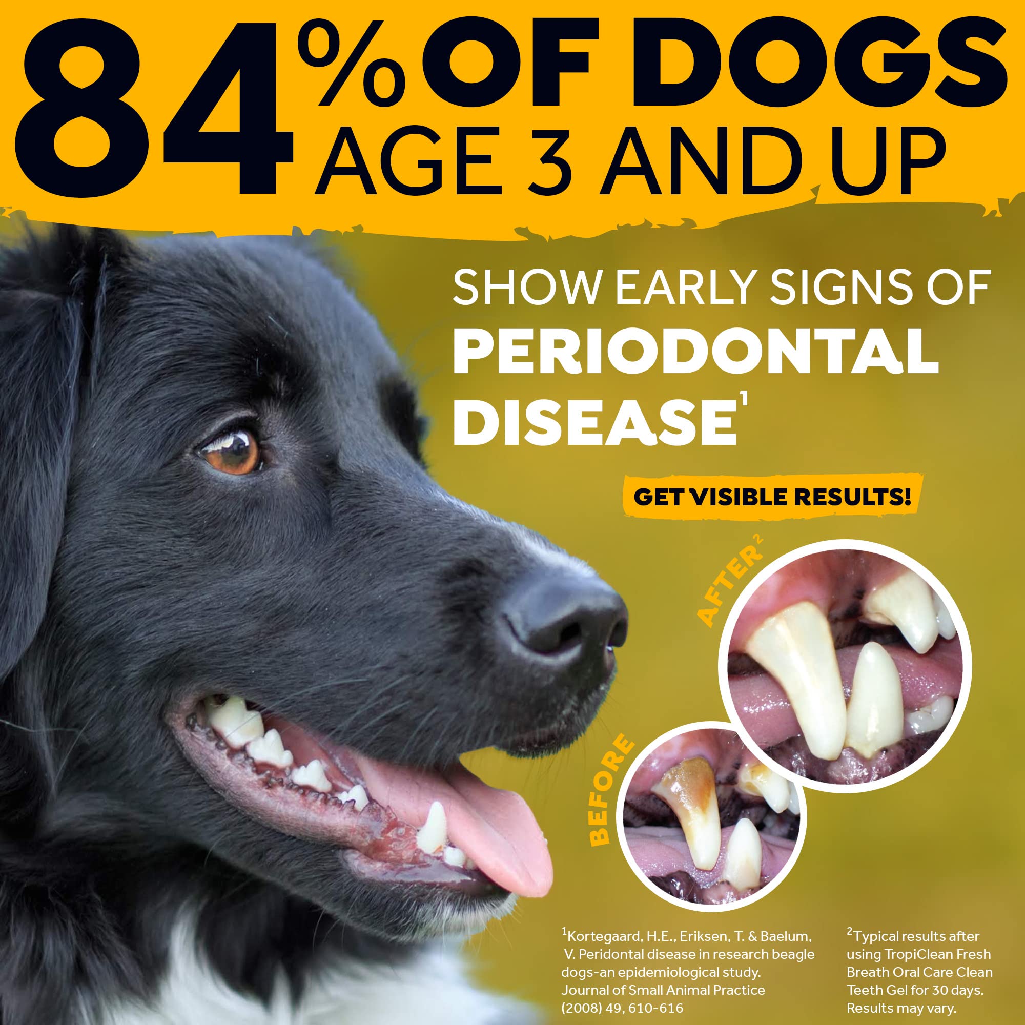 tropiclean toothpaste