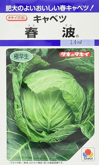 Amazon タキイ種苗 キャベツ 春波 Aca066 花 Amazon タキイ種苗 キャベツ 春波 Aca066 花