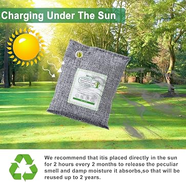 Activated Charcoal Odor Absorber (Large, 12 Pack, 100g each), Natural Charcoal Bags Odor Absorber Bamboo Charcoal Air Purifying Bag for Home, Fridge, Cabinet