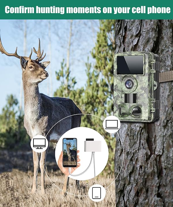 SD Card Reader for iPhone Plug and Play High Speed Transfer Trail Camera Viewer USB C and Lightning Dual Port CF/SD/MS/TF Card Adapter No App Driver Required by Dargahou - Image 2
