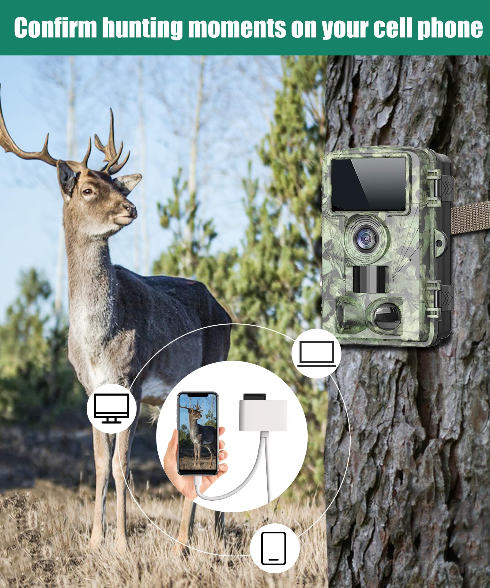 Trail Camera Viewer Plug and Play SD Card Reader High Speed Transfer USB C and Lightning Dual Port SD Card Adapter for iPhone iPad TF Card Micro